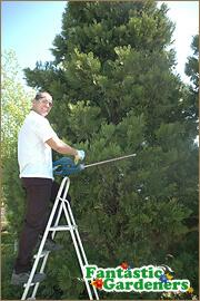 Garden Maintenance and services Melbourne