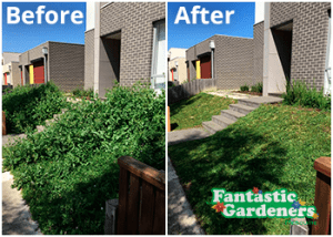 Lawn mowing Melbourne before after