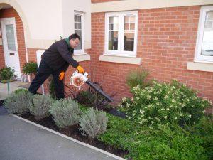 Gardening service in Wantirna