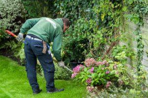 Gardening services in Hampton