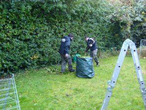 Green waste removal in Oakleigh