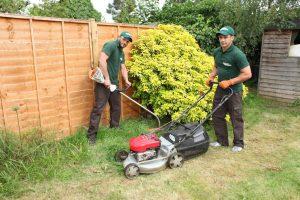 Lawn mowing in Hampton