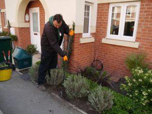 Professional gardening in Dandenong