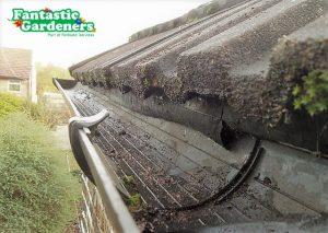 Gutter cleaning services