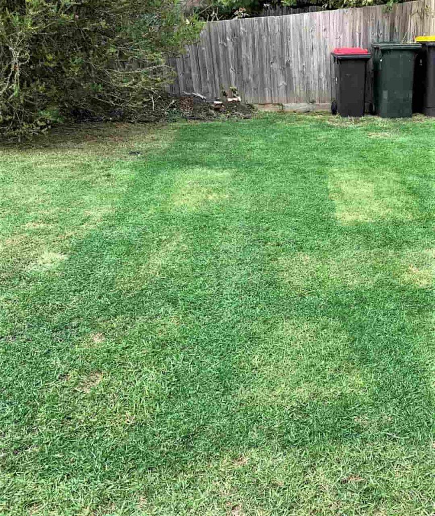 Lawn Painting